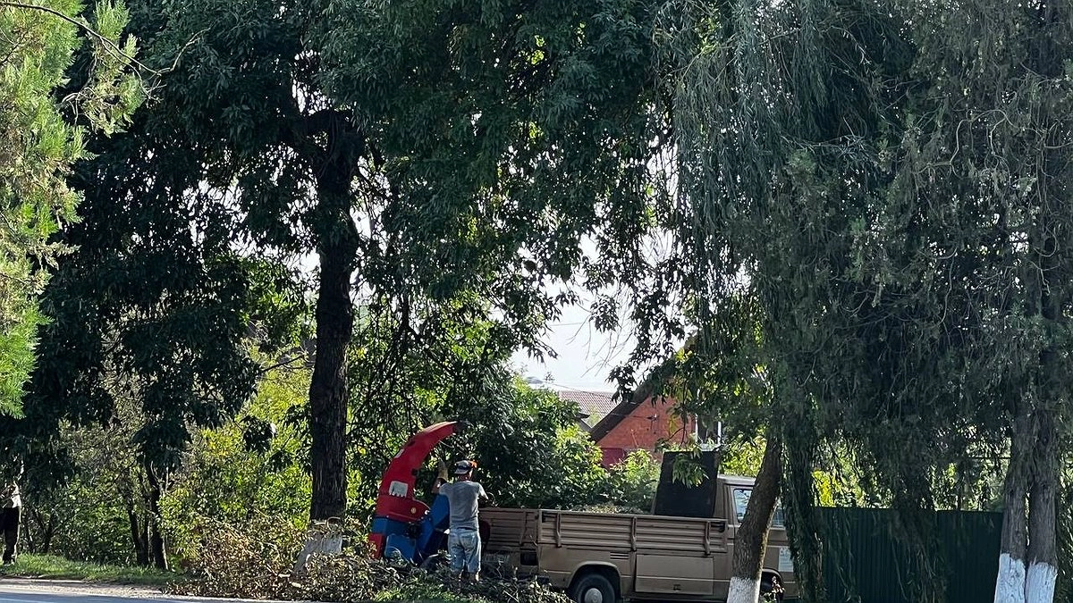 Главная картинка новости: Теперь суббота — рабочий день: переходим на новое трудовое расписание в ноябре