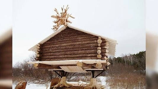 Главная картинка новости: 7 идей, куда отправить школьника на весенние каникулы