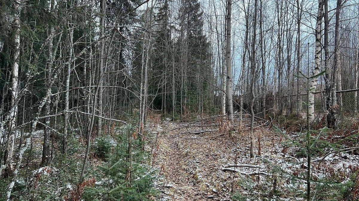 Весна придёт и уйдёт: на Урале потеплеет до +16, а затем нагрянут дожди со снегом