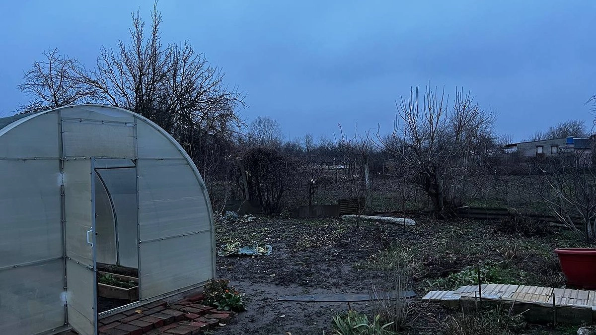 300 грамм этого порошка на ведро, и вредителей на участке больше не увидите: готовлю огород к зиме только так, весной нарадоваться не могу