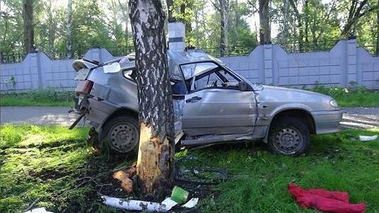 ДТП в Екатеринбурге: на Блюхера ВАЗ-21144 выехал на встречку и врезался в дерево - фото - 21 июля 2015