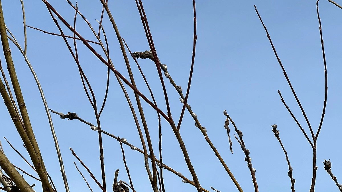 Тепло уходит: в Свердловской области похолодает до -3 и пойдет мокрый снег