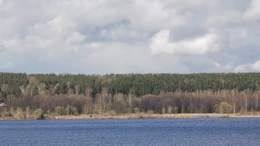 Суд запретил строительство и вырубку деревьев на берегу озера Балтым