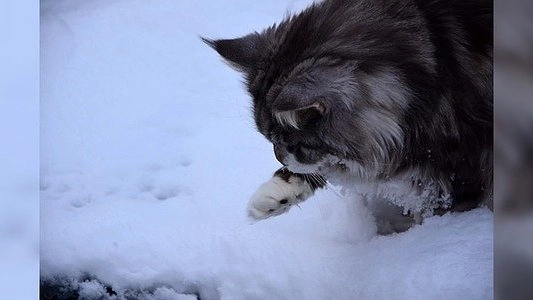 Погода в Екатеринбурге с 13 по 16 марта 2015 года