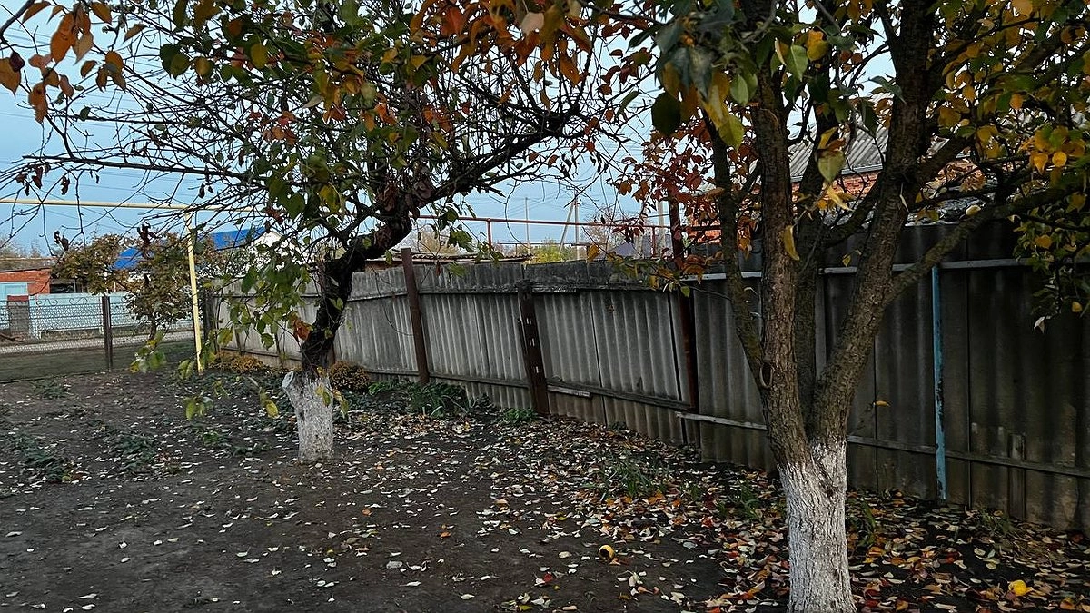 Слизни забудут дорогу на ваш участок: сразу после схода снега примените "мичуринский" метод — моллюскам не жить