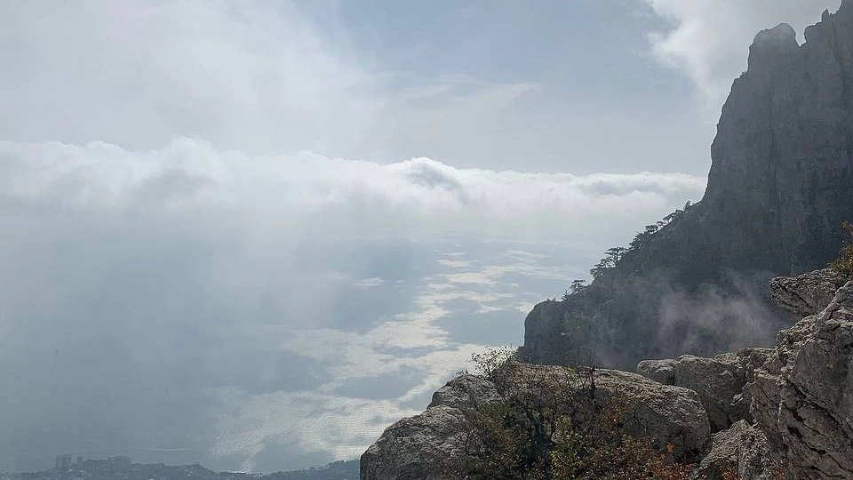 "Шагнут на сверкающую, как бриллиант, полосу": Тамара Глоба всего двум знакам зодиака предрекла прекрасную жизнь