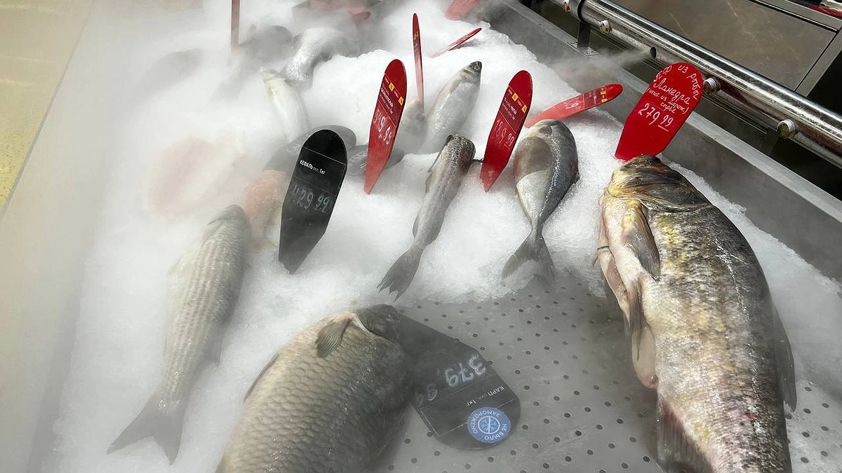 Главная картинка новости: Эксперты выявили самую полезную рыбу на весну - ешьте 2 раза в неделю: она богата селеном и фосфором