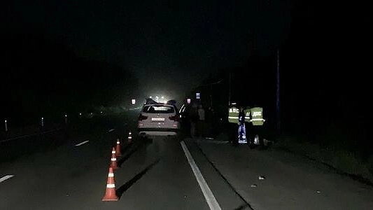 Екатеринбуржец погиб в ДТП из-за сбитого на встречке лося