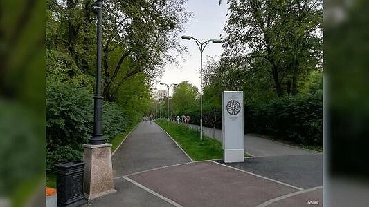 Екатеринбуржец нашел в  парке "Зеленая роща" кости. Вероятно - человеческие