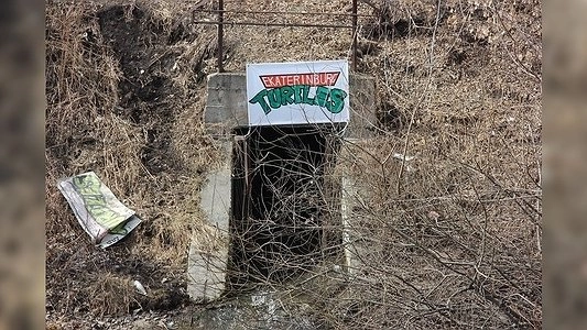 В Екатеринбурге снова сорвали табличку черепашек-ниндзя