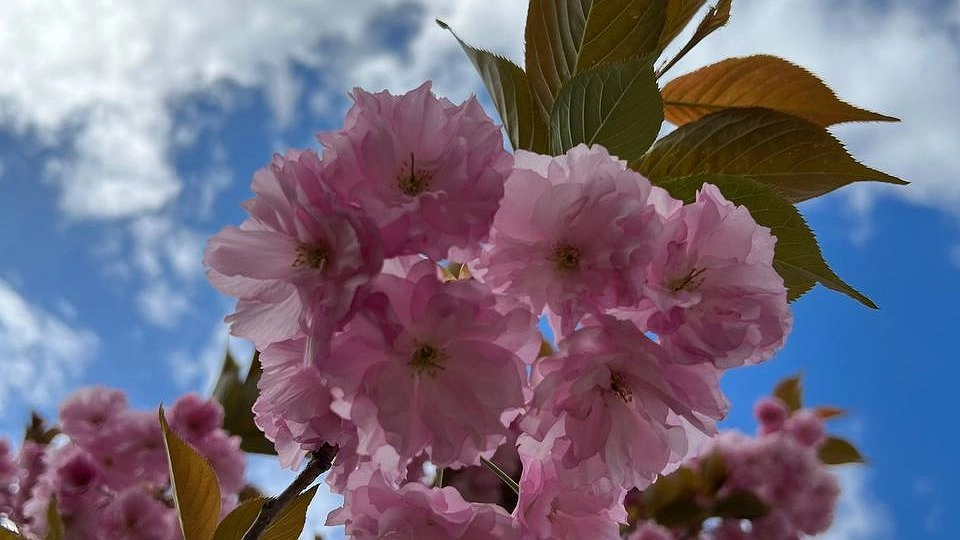 Весной ударят аномальные морозы жёстче зимних: синоптики опубликовали новый прогноз на апрель и май
