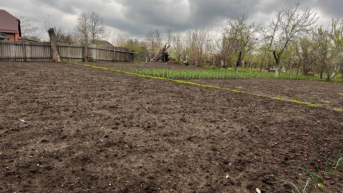 Ушлые дачники переходят на коробки: почему старые грядки больше не нужны — забыла про них навсегда