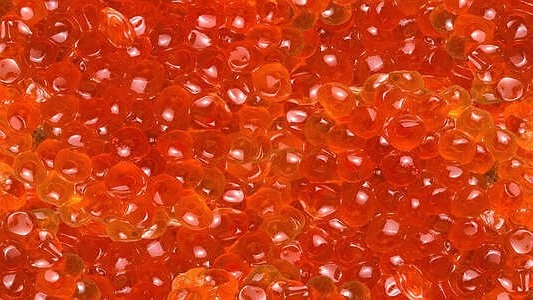 Колбаса может заставить организм стареть быстрее