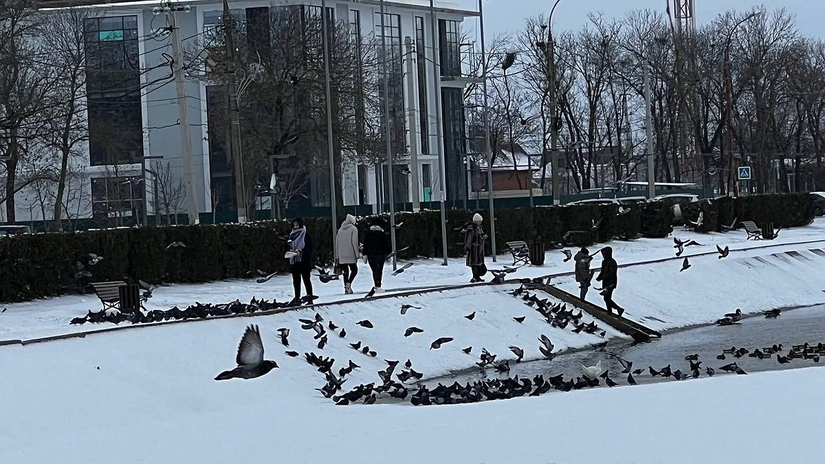 До -33 градусов: погода в марте будет жестокой - Роман Вильфанд предупредил россиян