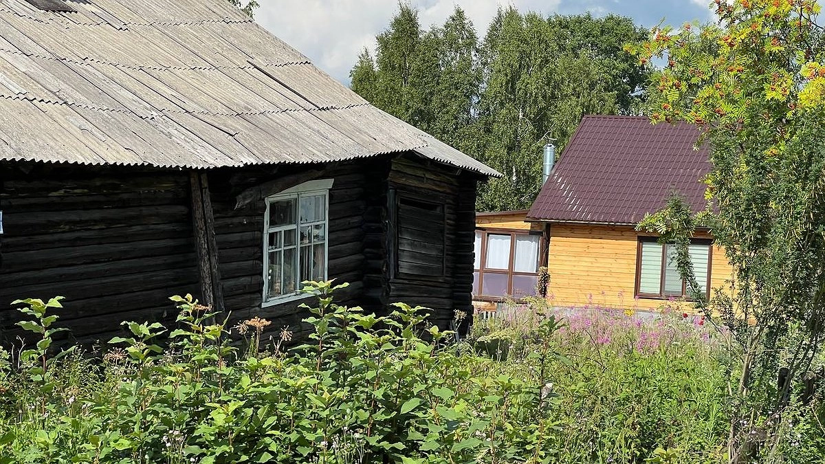 62 заброшенных участка обнаружены у одного собственника в Сысертском районе