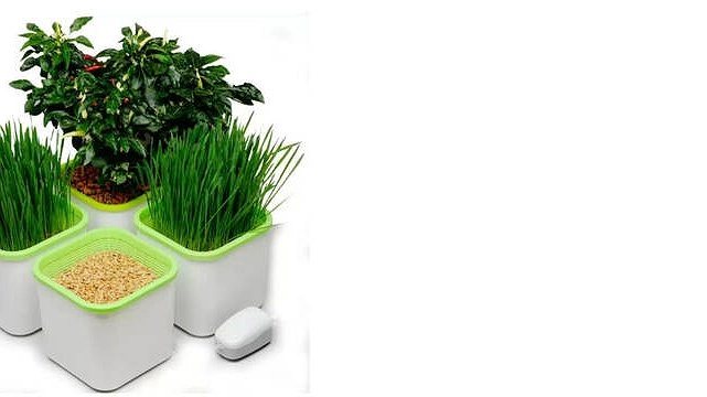 Удобрения и оборудование для растениеводства