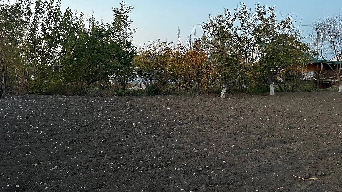 Огород без сорняков на зависть соседям: такой  способ уничтожит траву