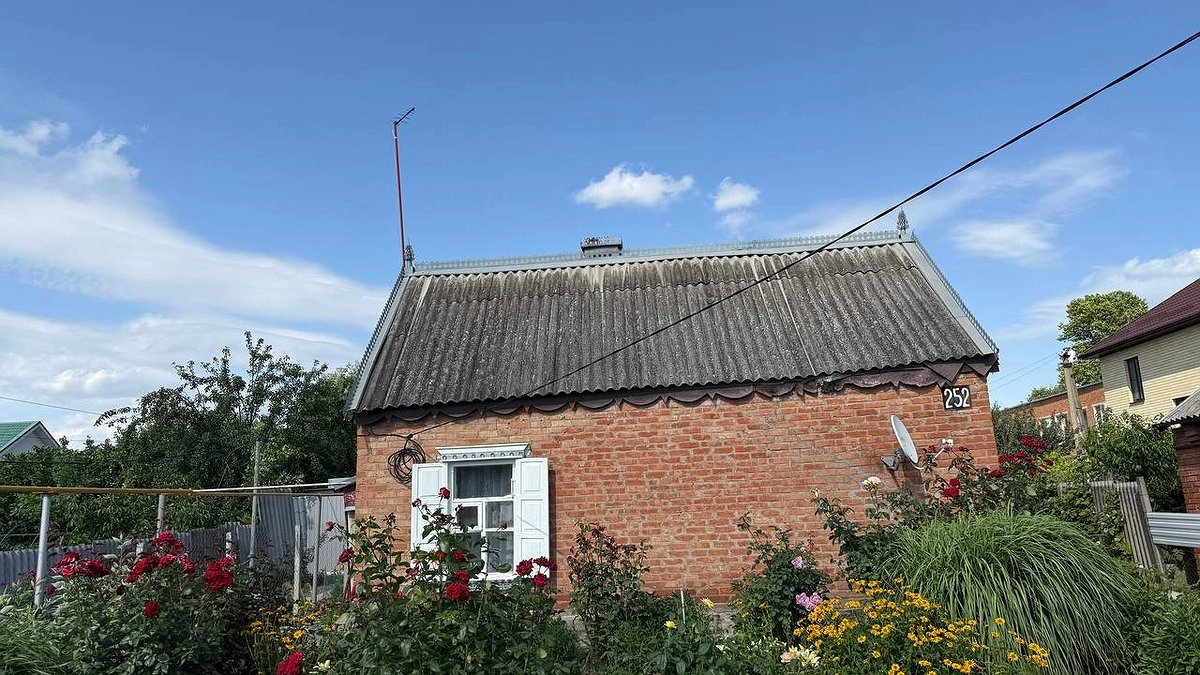 Ваш участок могут отобрать за траву: с 1 сентября начнут изымать землю по новым основаниям