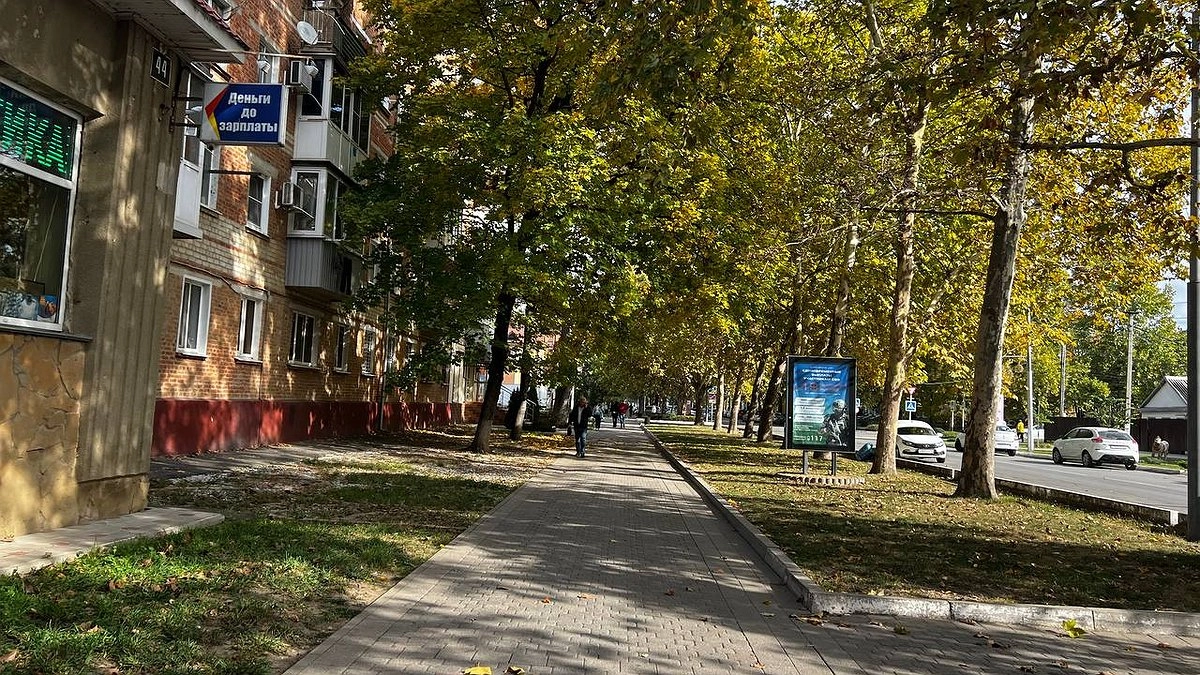 Их ждет захватывающий год: такие три знака зодиака будут идти по белой полосе весь 2025 год