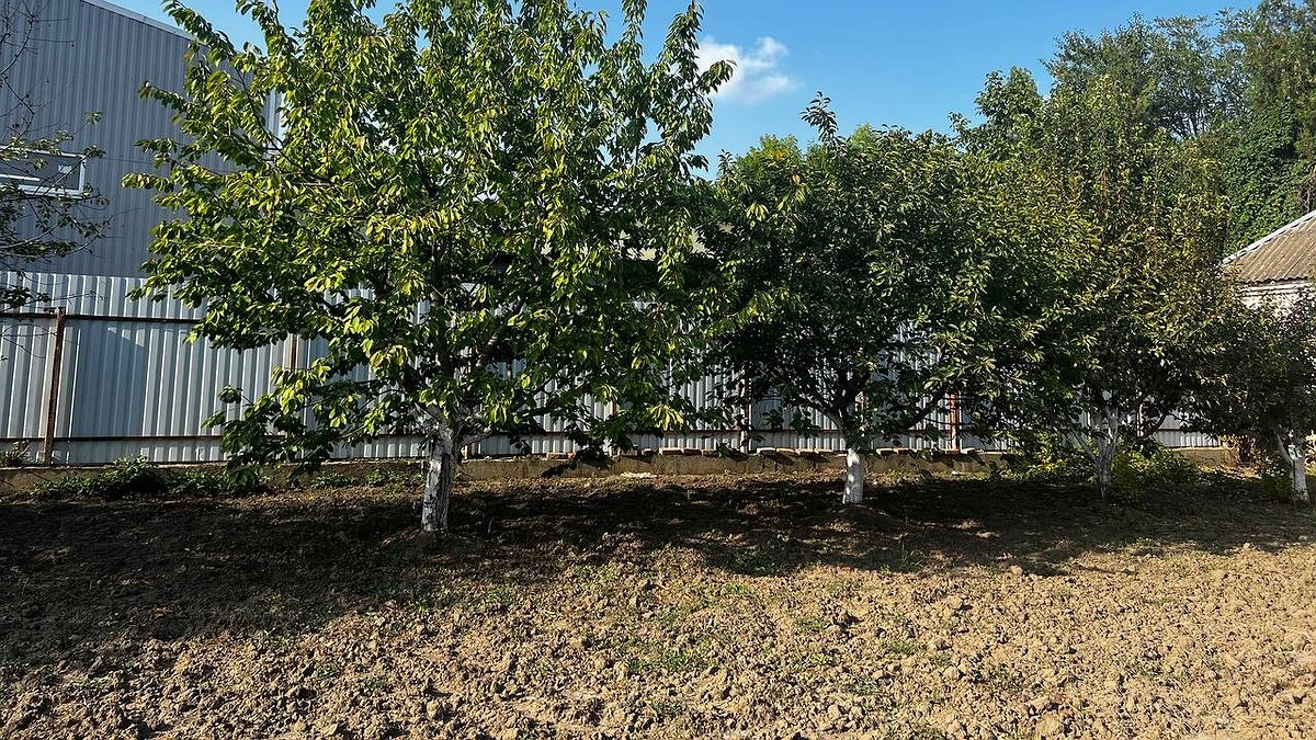 Грядки будут на вес золота, если сделать это осенью — опытные аграрии дали дельный совет