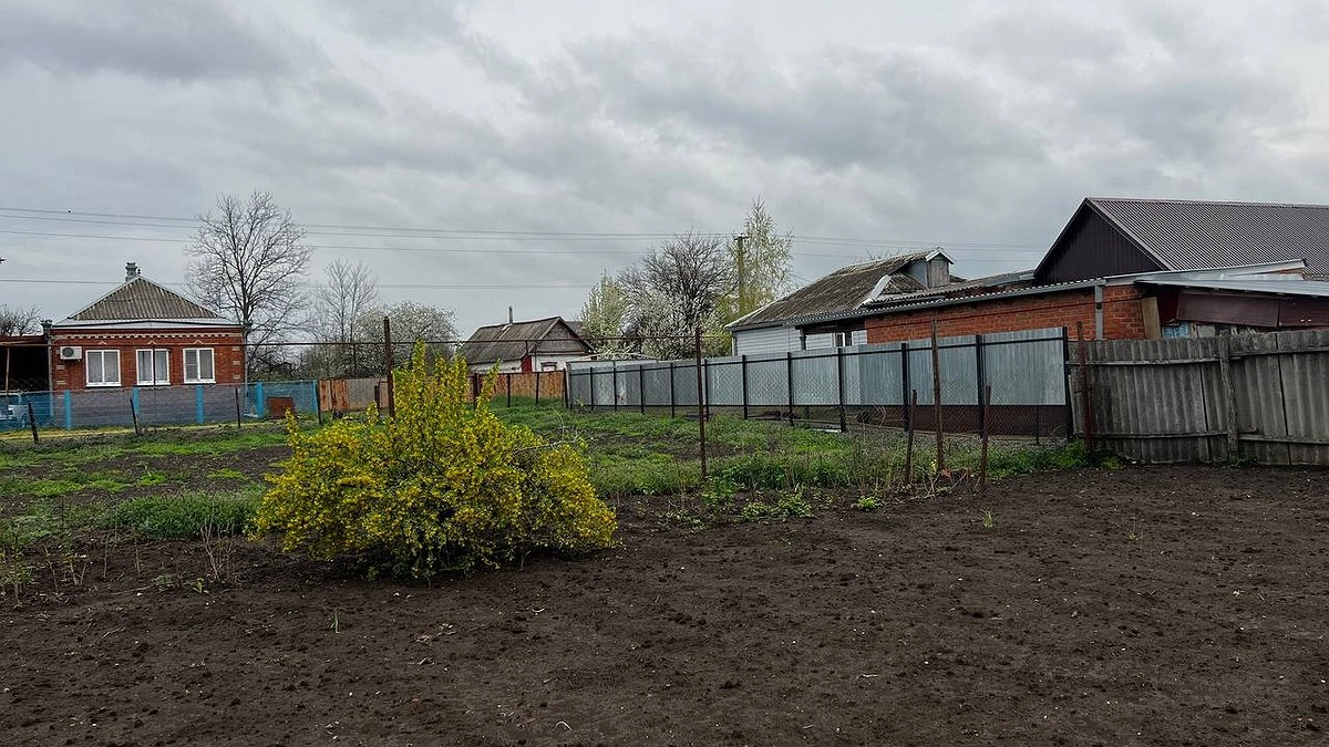 Когда сажать, а когда подождать: Лунный календарь для огородников на май 2025 года