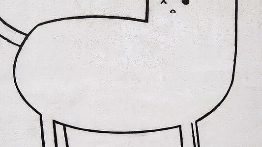 "Мурреализм": в Екатеринбурге появилось граффити с котиком