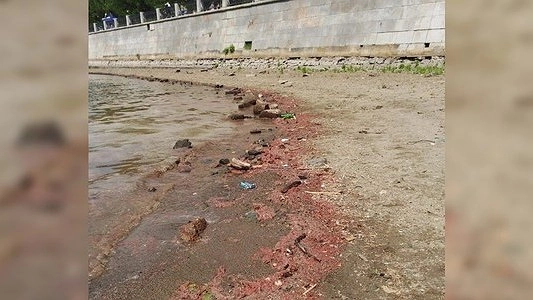 Работы на Макаровском мосту приостановили из-за загрязнения Исети