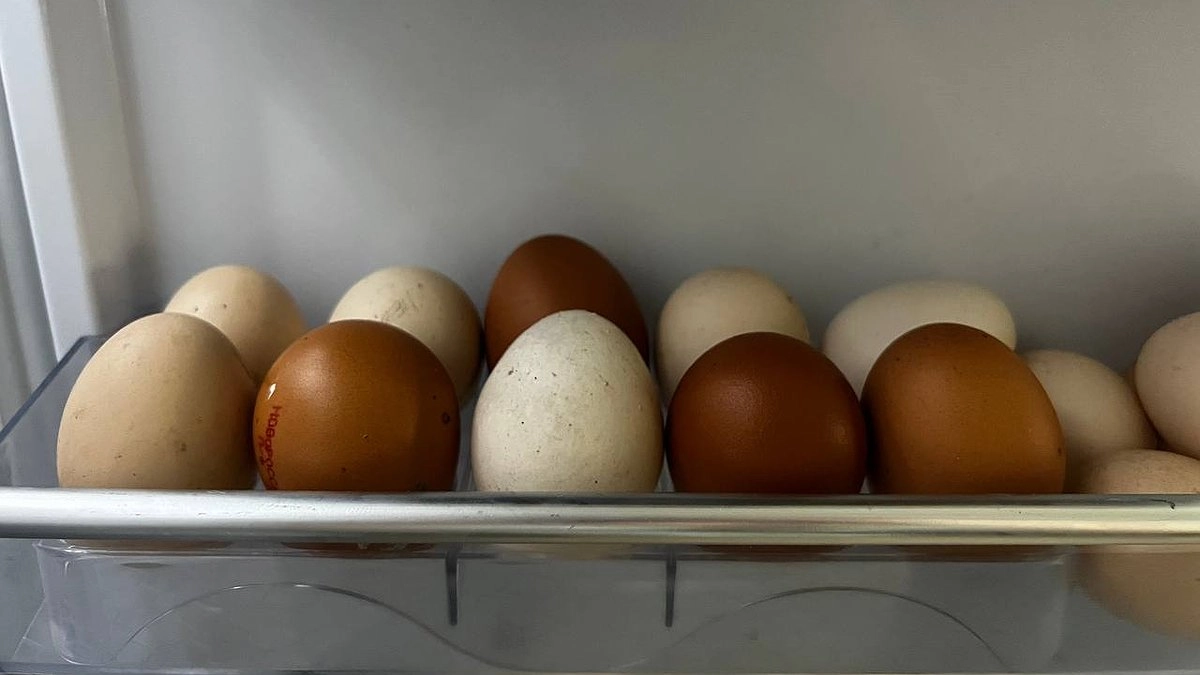 Главная картинка новости: Лотки от яиц держу в погребе — и всю зиму сне дую в ус: нужны не для хранения урожая — эффект дорогого стоит