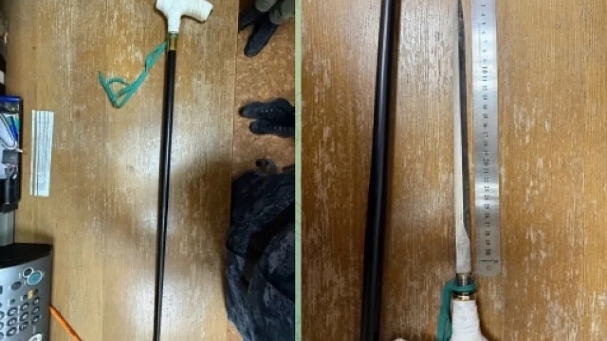 «Трость с сюрпризом»: в суд Екатеринбурга женщина попыталась попасть с 30-сантиметровым клинком