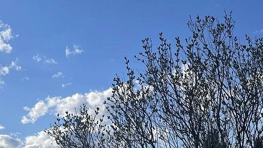 МЧС: Синоптики продлили предупреждение о непогоде