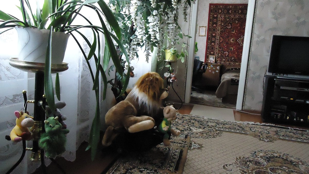 Пылесос теперь не нужен: просто провожу этим предметом по ковру – собирает всю пыль и грязь