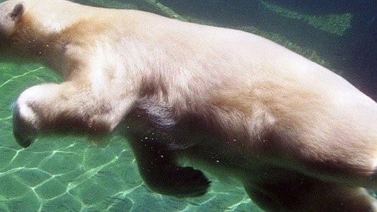 Зоопарк Екатеринбурга - 23 января 2015 года