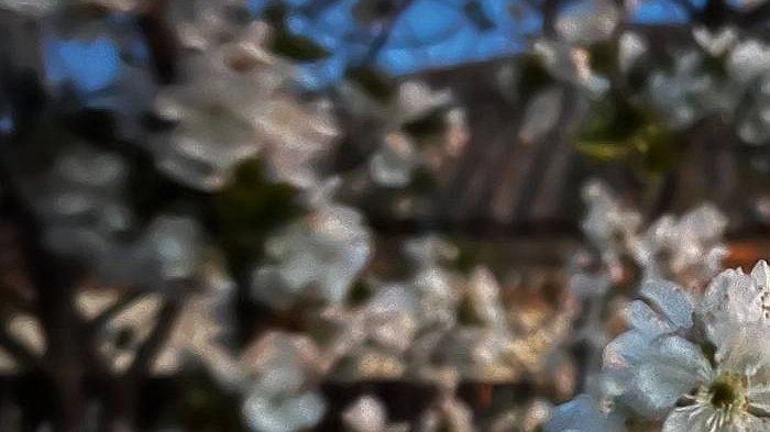 Апрельский рекорд: в Екатеринбурге зафиксирована аномальная жара