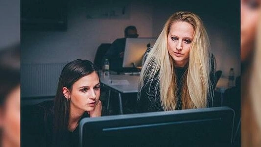 В Свердловской области откроется "Школа фермера": теория и практика для тех, кто стремится стать лучшим в своем деле