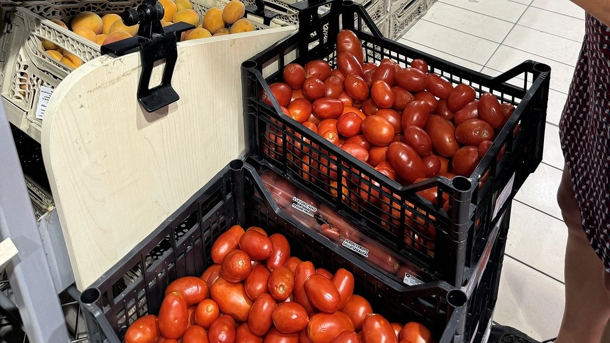 Кипятим в воде 100 г – забываем про фитофтороз томатов: помидоры вырастут без единого изъяна