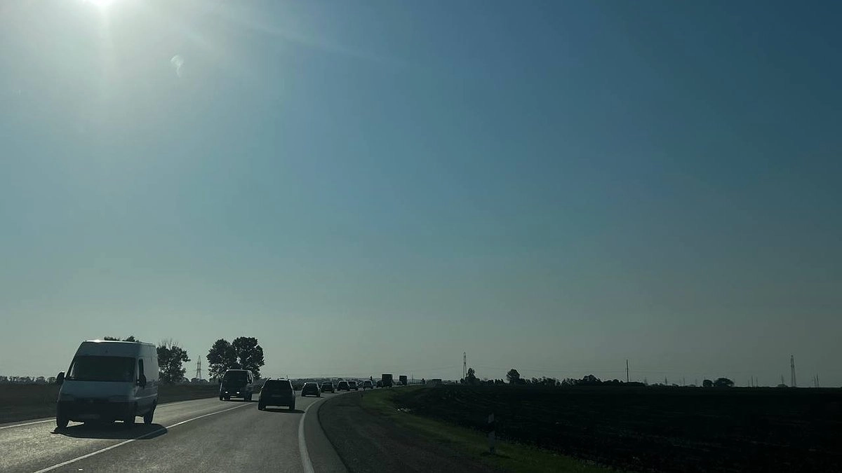 С водителей будет спрос: с такой инициативой выступил Минздрав