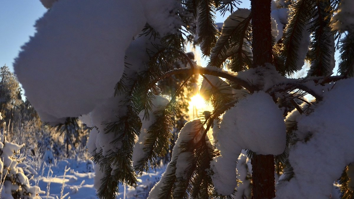 Главная картинка новости: «Начнется 15 января и будет 150 часов подряд». Синоптики сказали, к чему готовиться