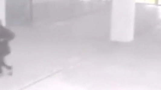 Видео расстрела туристов в музее Туниса «Бардо» - 18 марта 2015 года