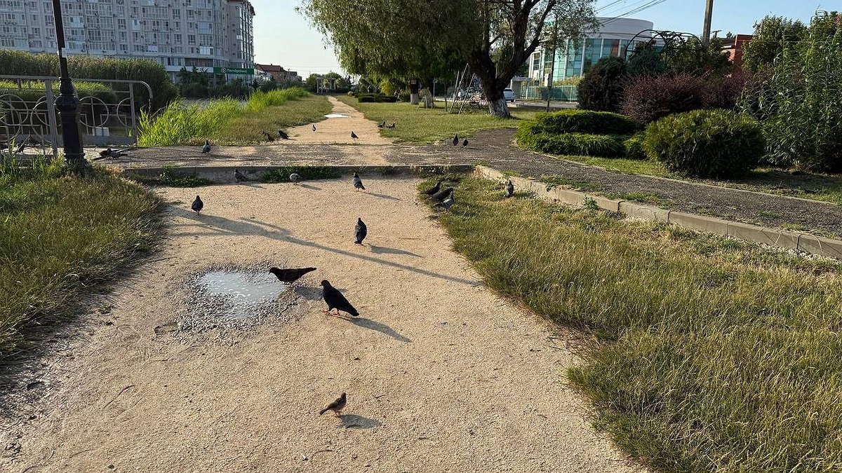 «В ноябре нас ждёт самое страшное». Синоптики сказали, к чему готовиться