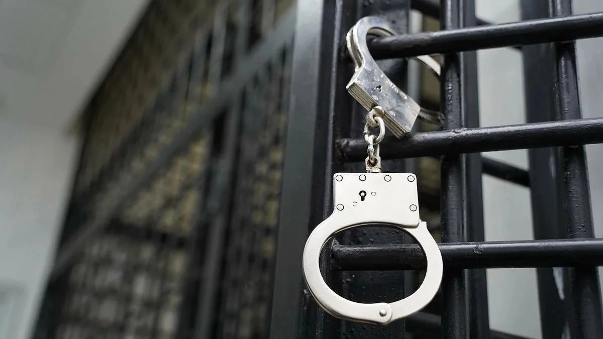 Свердловчанин получил условный срок за избиение сожителя сестры, утопившего кота