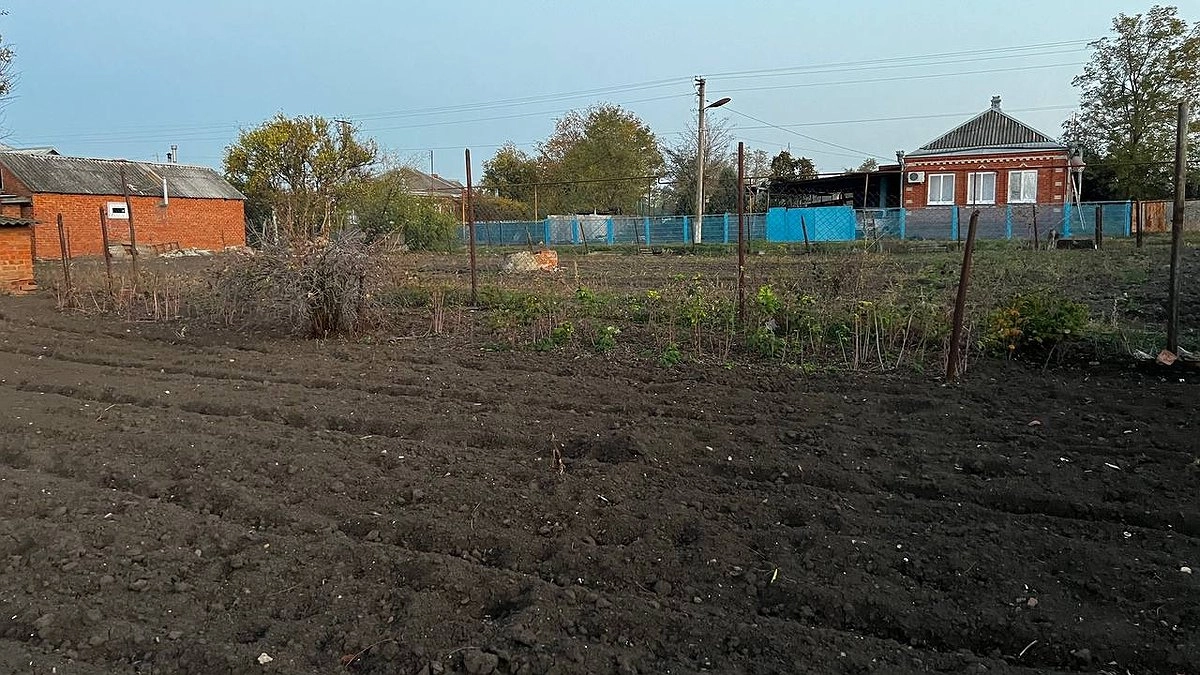 Будете собирать урожай тачками: добавьте в почву одно из этих трех удобрений, и земля станет "богатой"