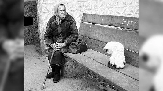 Главная картинка новости: Пенсии в России в будущем году буду повышены на 7 процентов - 13 августа 2015