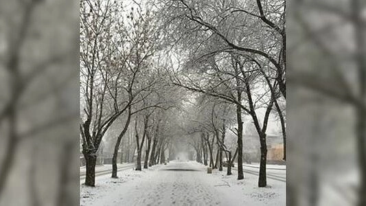 Главная картинка новости: Погода в Екатеринбурге 23 апреля: фото снегопада - 2015 год