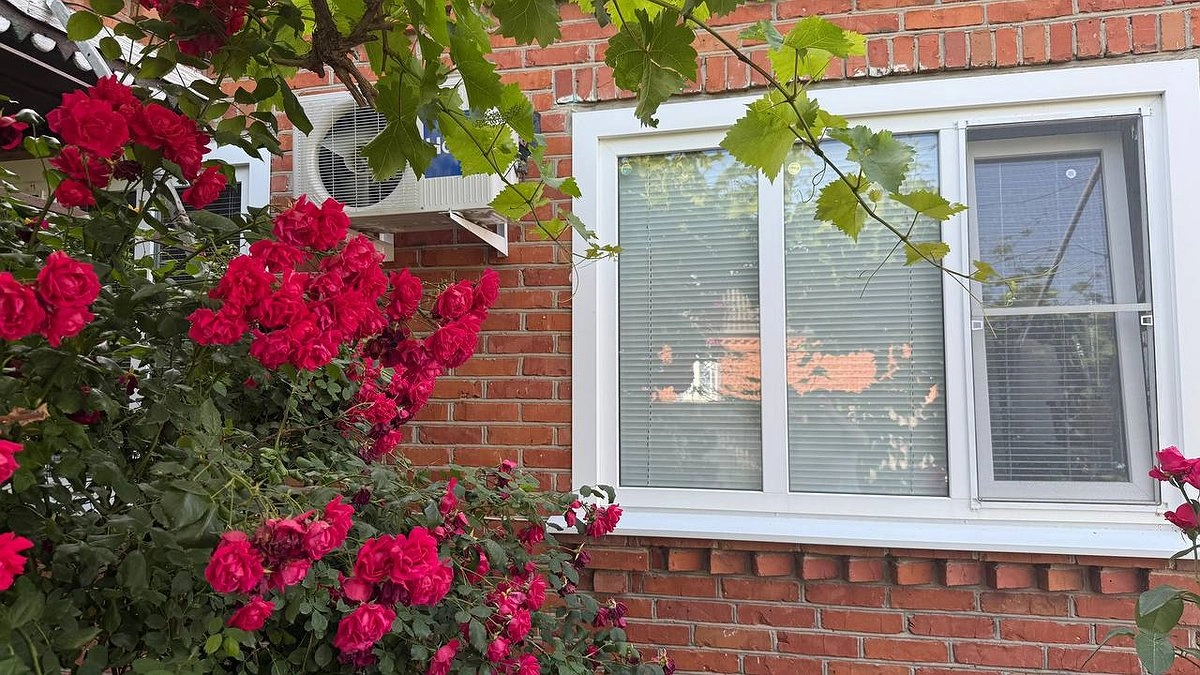 Посыпьте соль у порога и спите спокойно: старая примета актуальна и сегодня