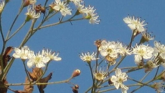 Как скоро придет весна, отвечает главный синоптик Урала