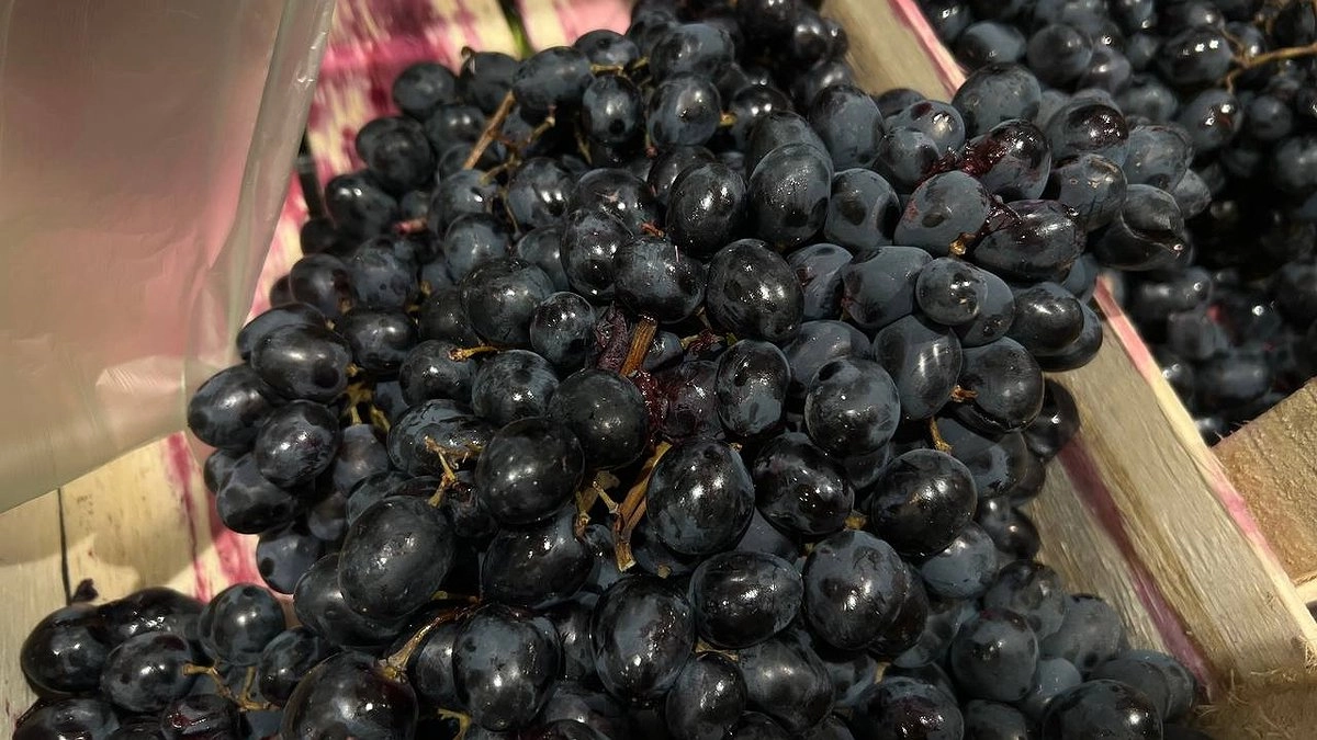 Главная картинка новости: Фрукты и овощи подорожают на 60%: что будет с ценами в Свердловской области