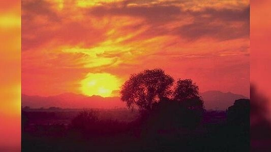 Львам стоит провести время с друзьями, а у Весов удачная неделя для турпоездок: НАШ гороскоп на неделю с 18 по 24 июля