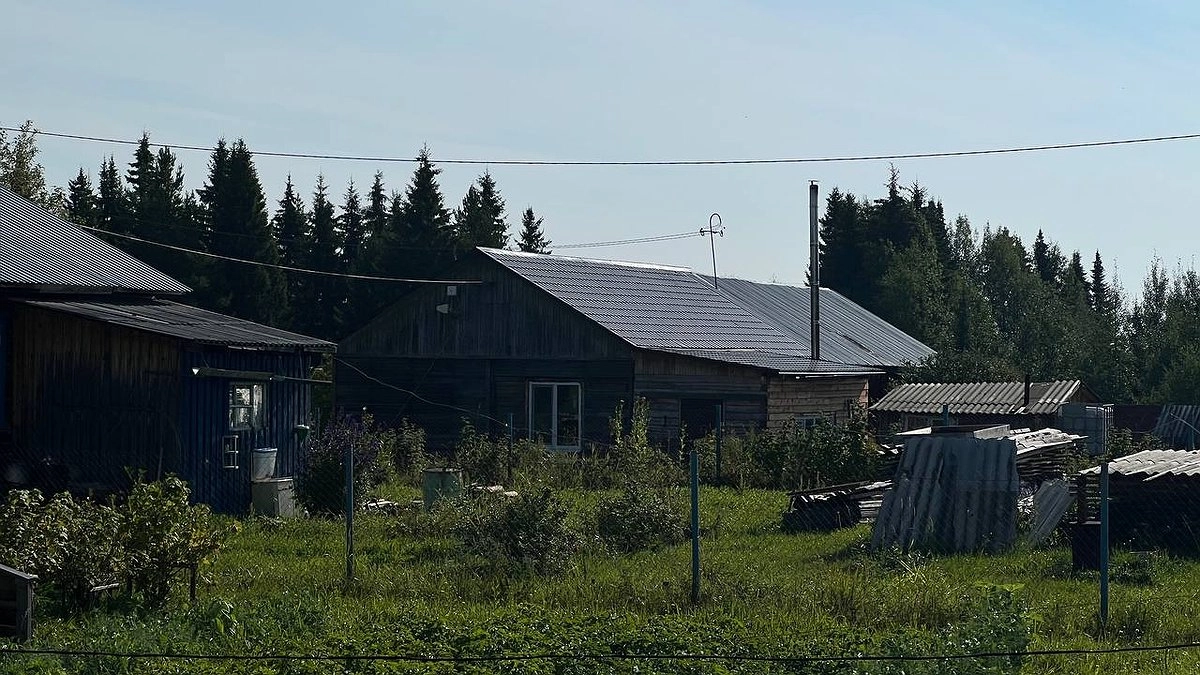 Растения на даче, за которые грозит штраф или тюрьма: полный запрещённый список