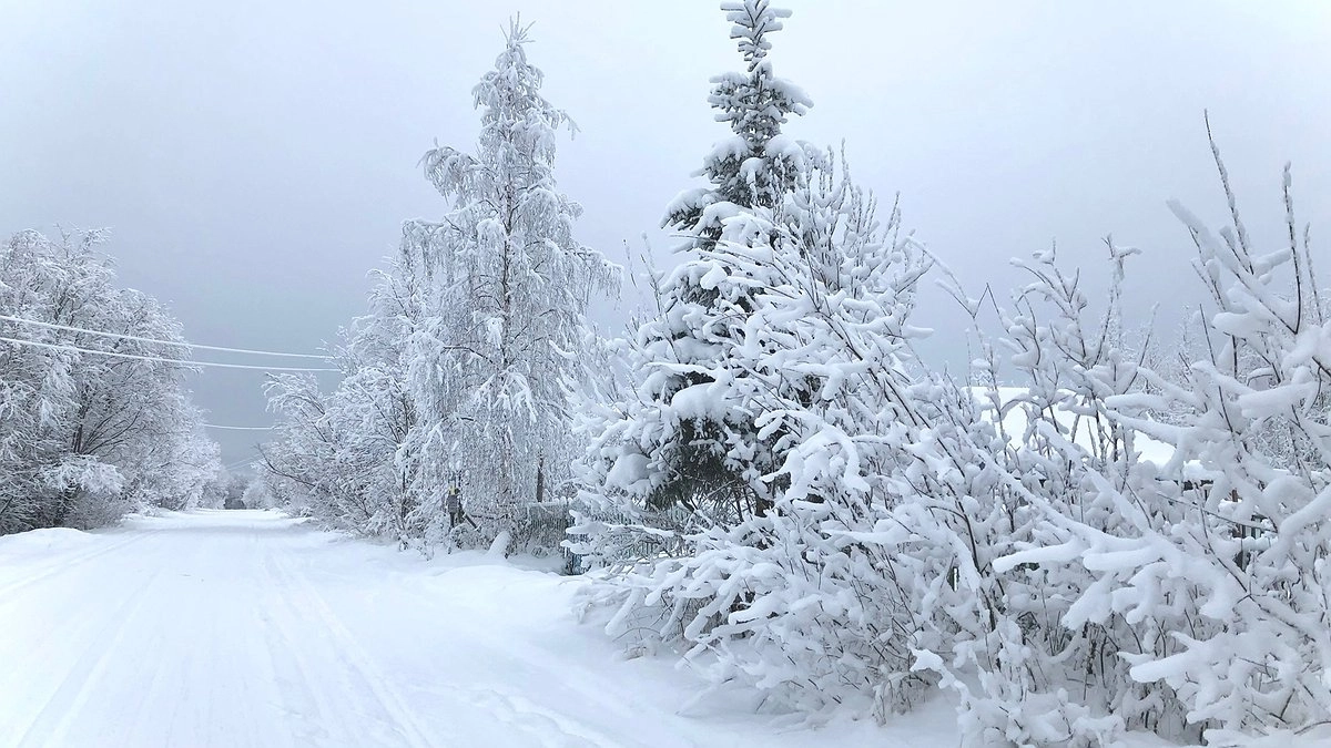 Главная картинка новости: Погода в Свердловской области с 8 по 11 января: снегопады, метели и аномальное тепло на юге