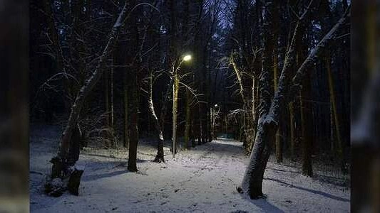 В темные аллеи ЦПКиО провели освещение